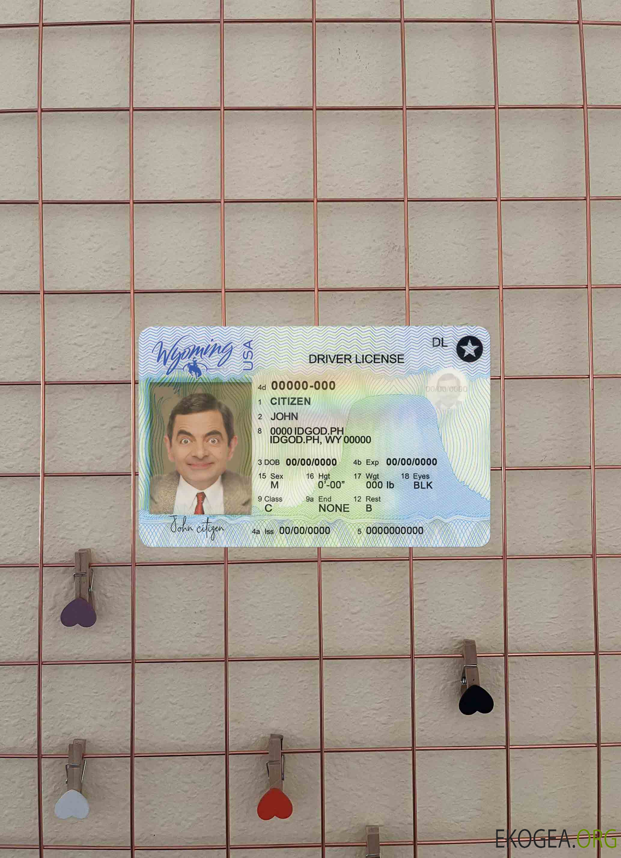 Modèle de permis de conduire de l'État du Wyoming aux États Unis au format PSD, avec toutes les polices (2020 – présent) photolook FRONT